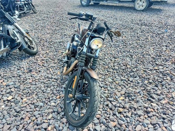 2019 HARLEY-DAVIDSON XL883