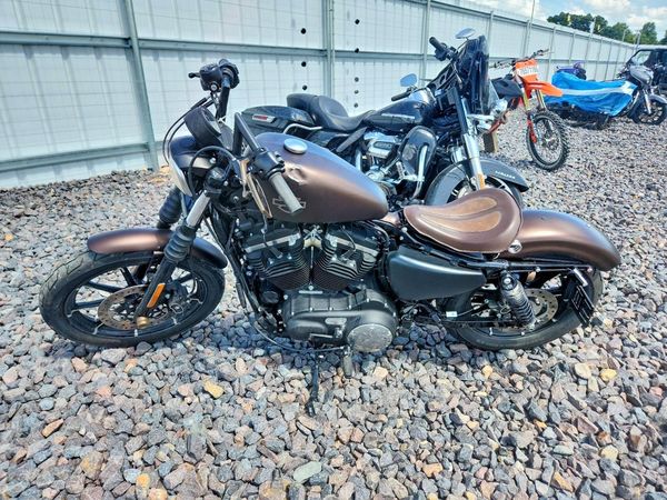 2019 HARLEY-DAVIDSON XL883