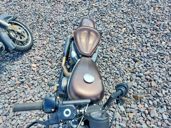 2019 HARLEY-DAVIDSON XL883