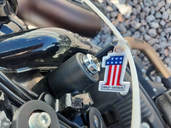 2019 HARLEY-DAVIDSON XL883