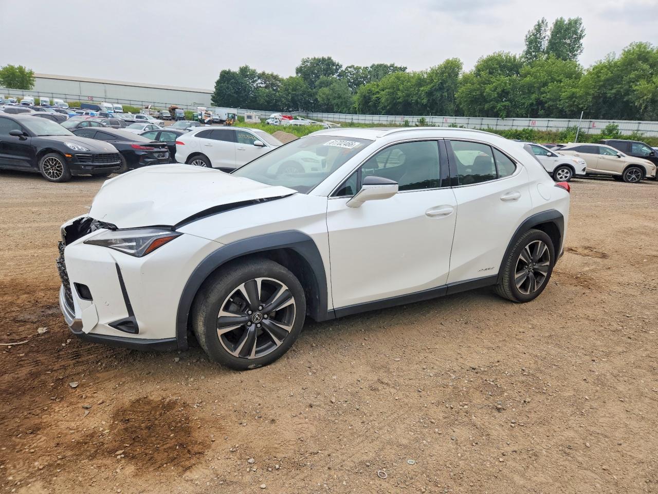 2019 LEXUS UX