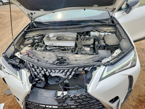 2019 LEXUS UX