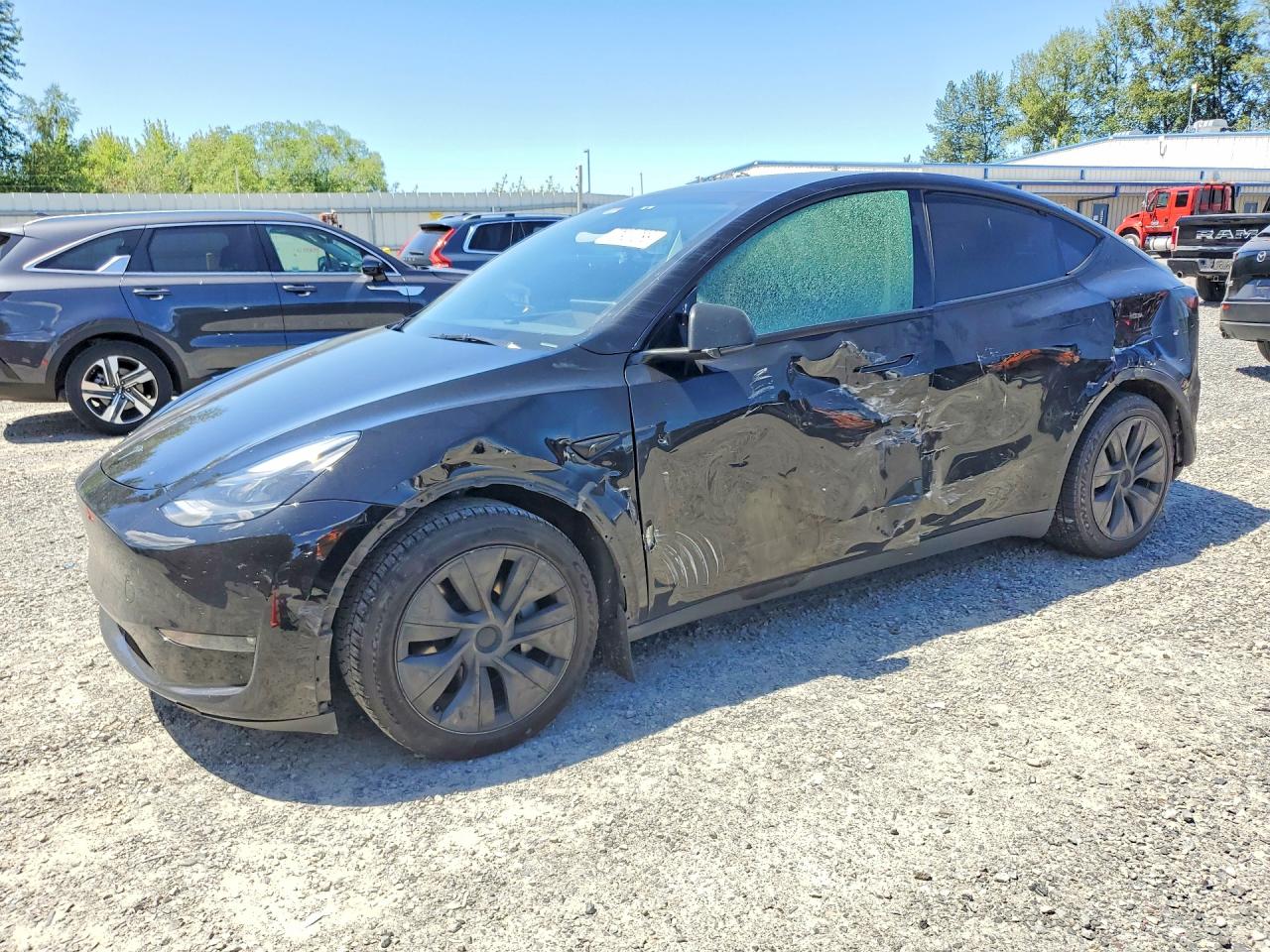2024 TESLA MODEL Y