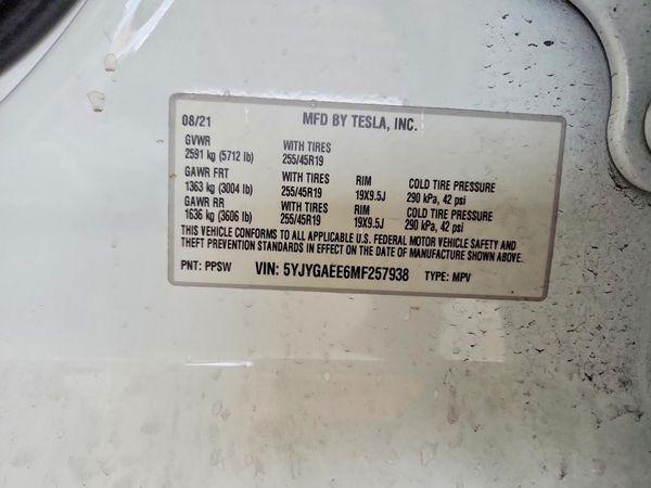 2021 TESLA MODEL Y