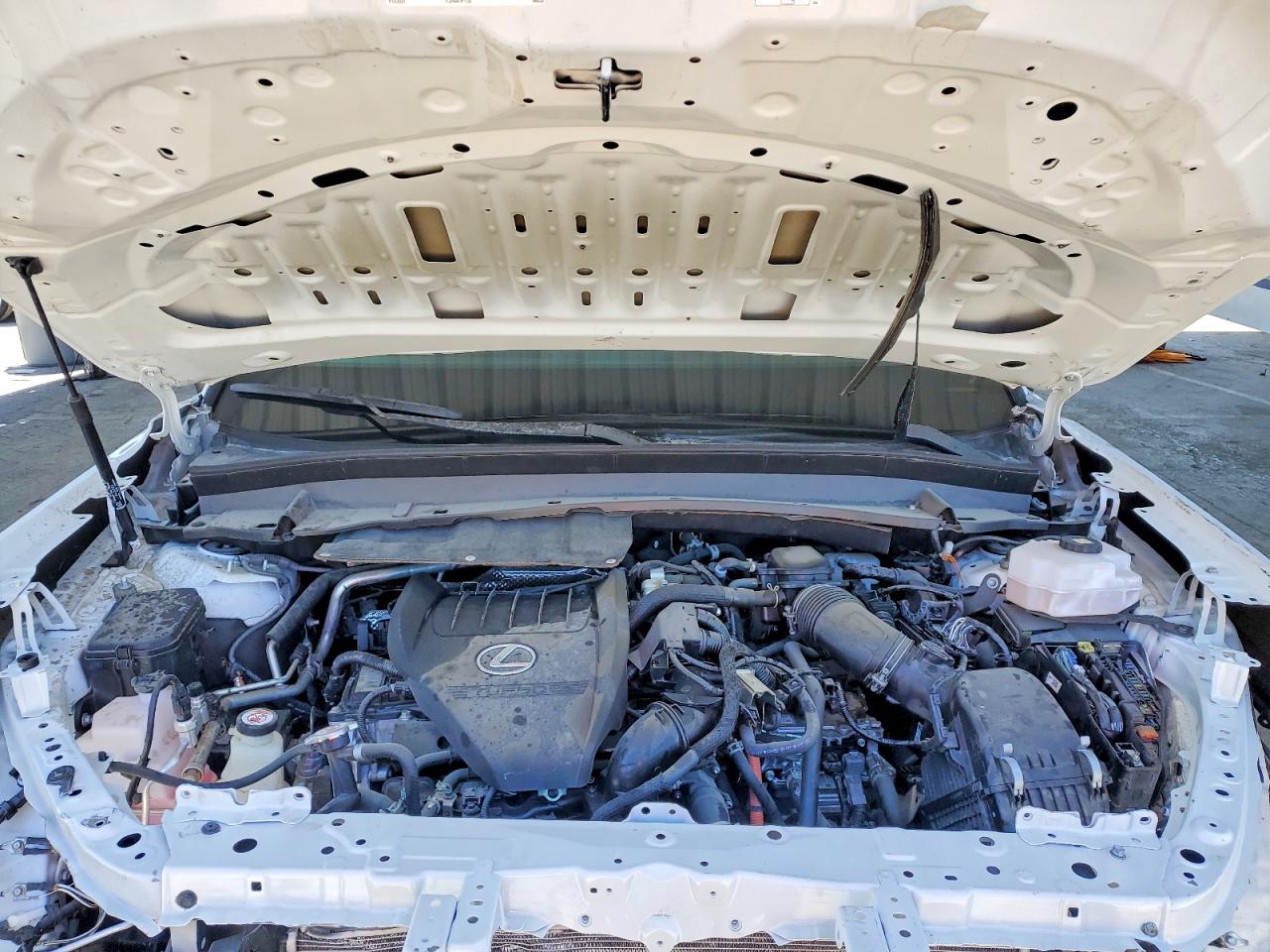 2026 LEXUS TX 500H
