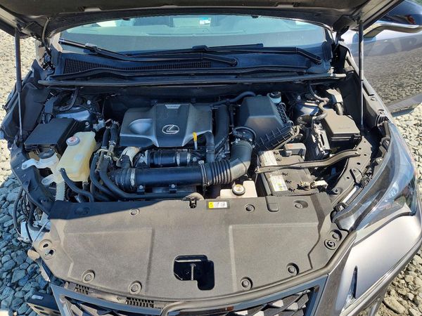 2021 LEXUS NX 300 300 F Sport Comfort