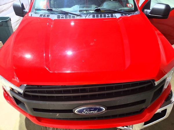 2019 FORD F150