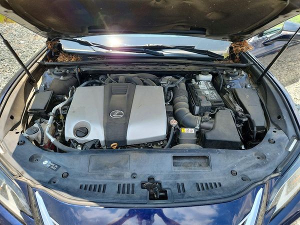 2019 LEXUS ES 350