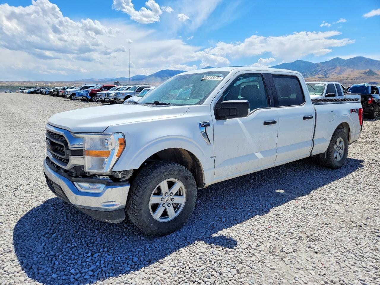 2021 FORD F150