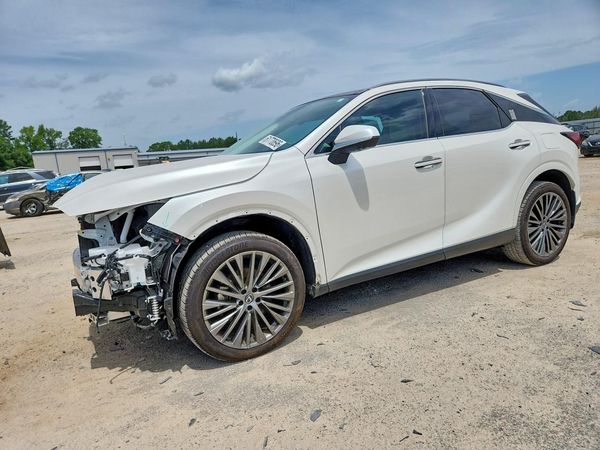 2024 LEXUS RX