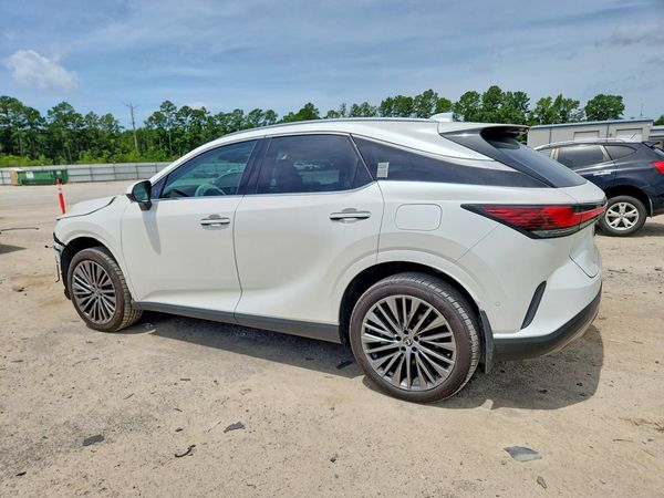 2024 LEXUS RX