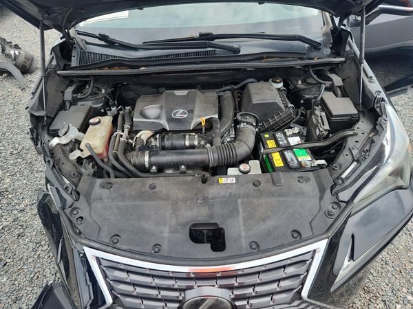 2021 LEXUS NX 300 300 Premium