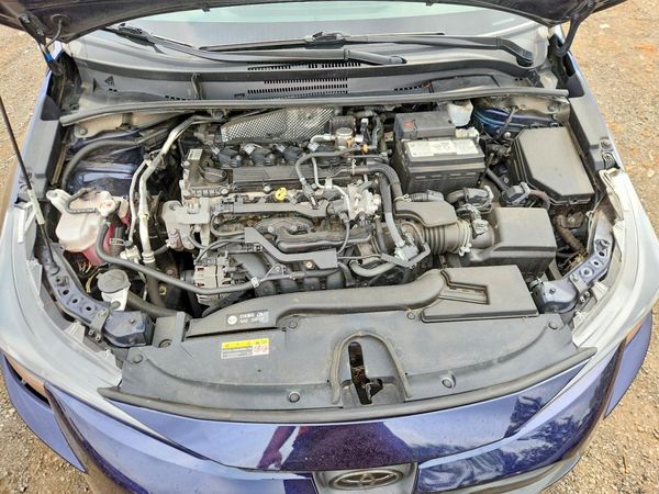 2023 TOYOTA COROLLA