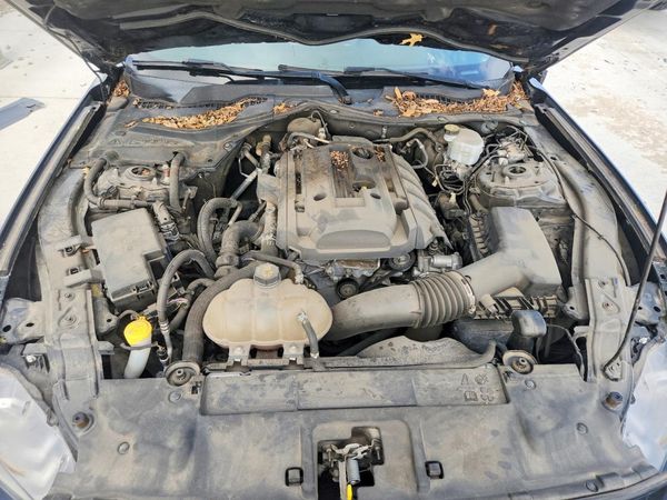 2019 FORD MUSTANG I4 Coupe