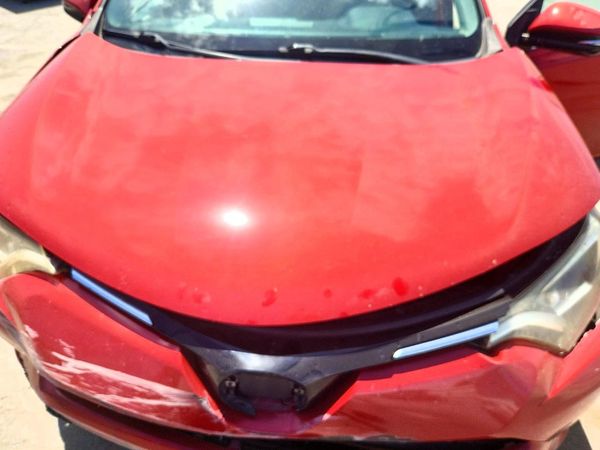 2017 TOYOTA RAV4 XLE