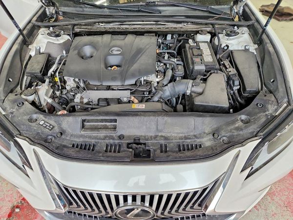 2021 LEXUS ES 250