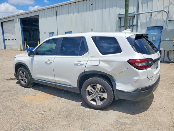 2025 HONDA PILOT EX-L, EX-L HPD