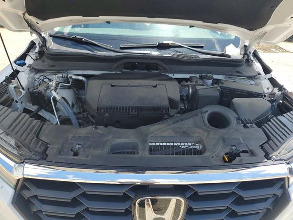 2025 HONDA PILOT EX-L, EX-L HPD