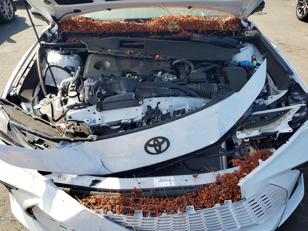 2025 TOYOTA CAMRY