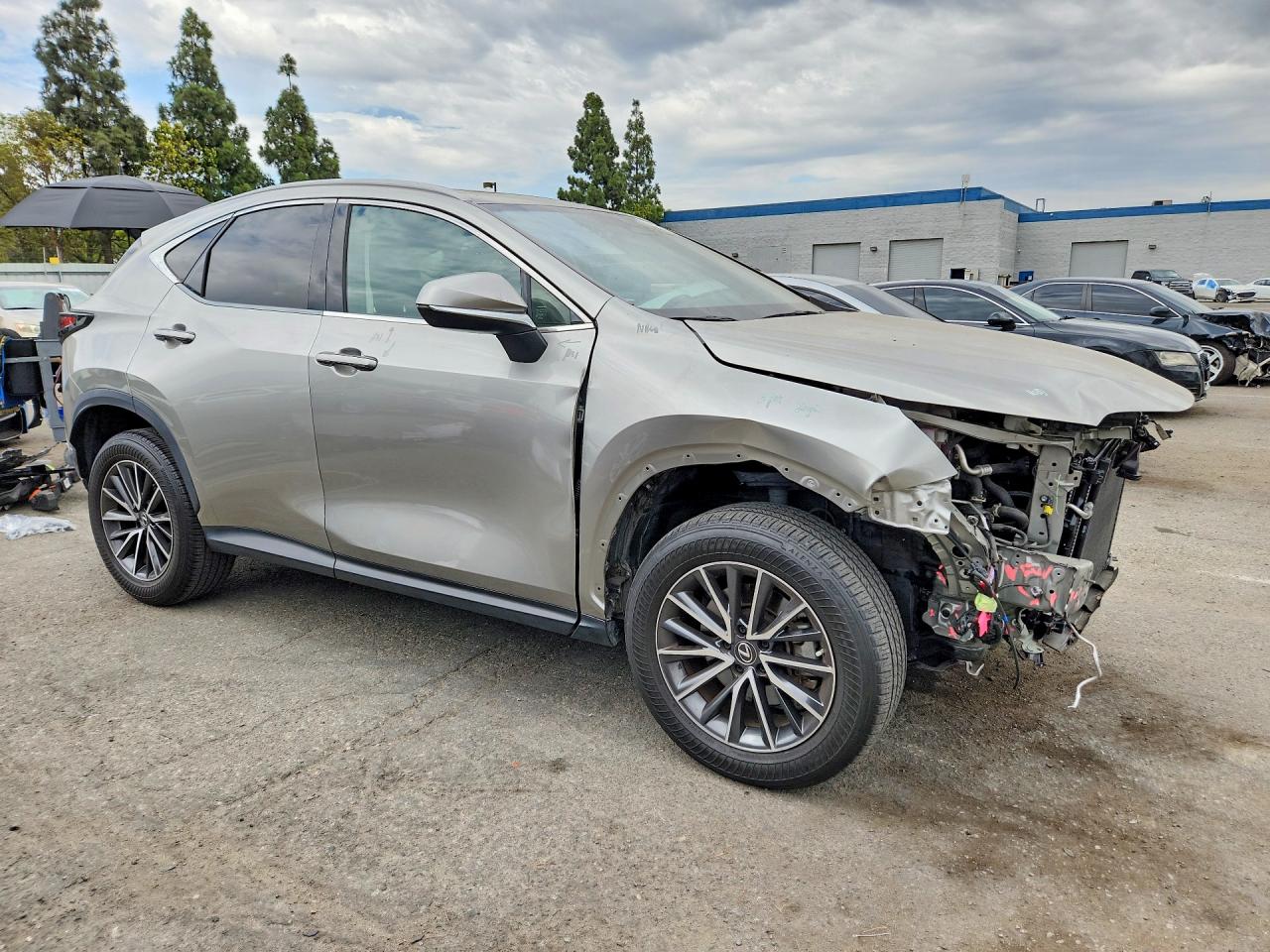 2022 LEXUS NX 350 Base