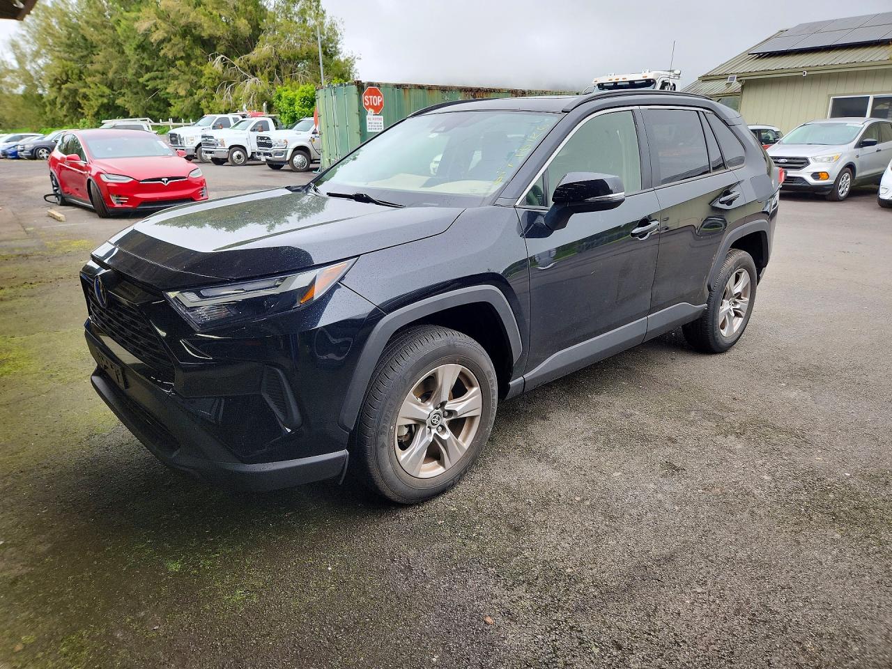2025 TOYOTA RAV4