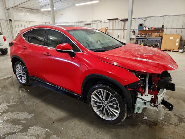 2025 LEXUS NX 350 Premium