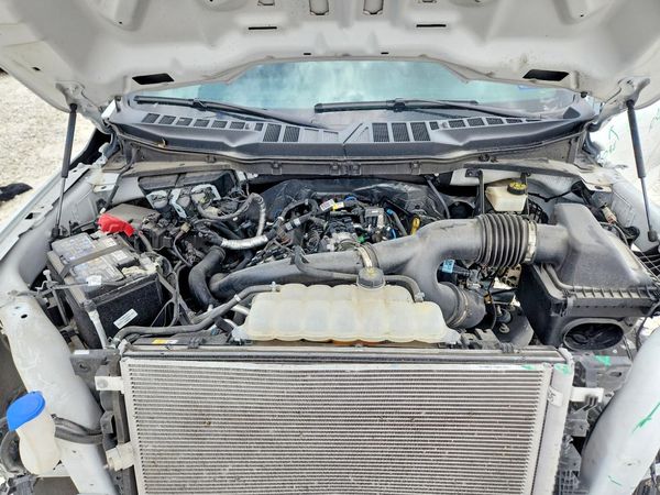 2024 FORD F150