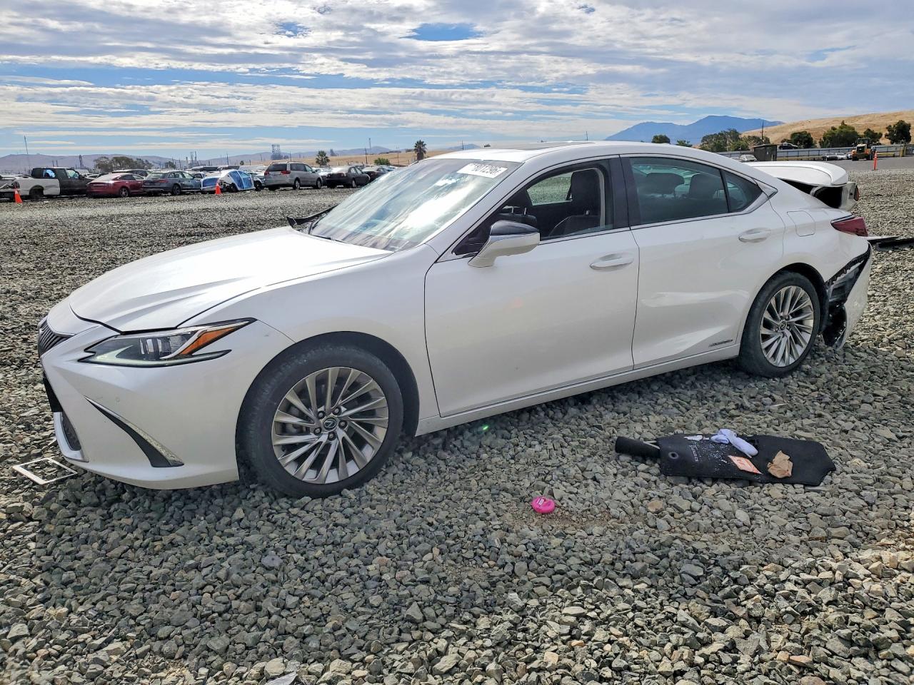 2019 LEXUS ES