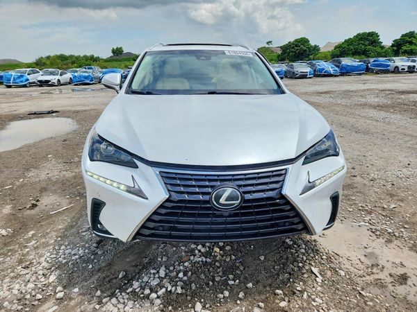 2019 LEXUS NX 300 300 Luxury