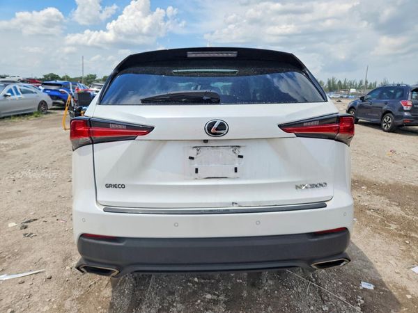 2019 LEXUS NX 300 300 Luxury