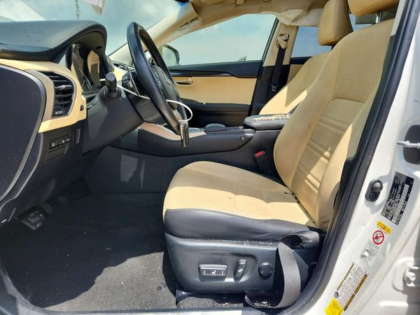 2019 LEXUS NX 300 300 Luxury