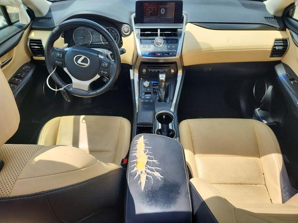 2019 LEXUS NX 300 300 Luxury