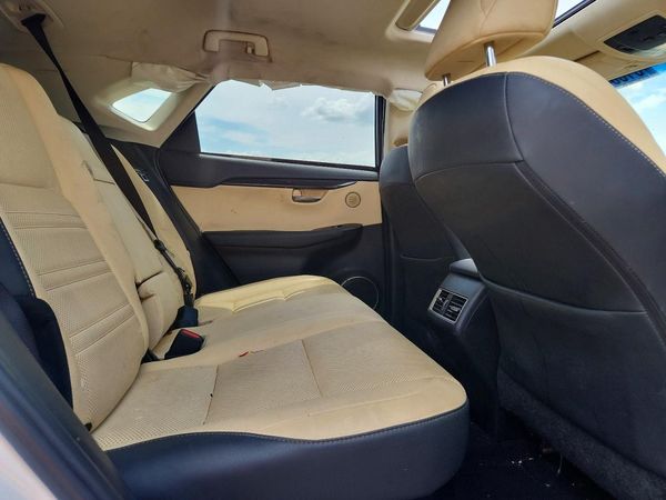 2019 LEXUS NX 300 300 Luxury