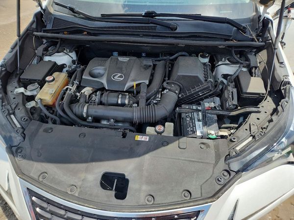 2019 LEXUS NX 300 300 Luxury