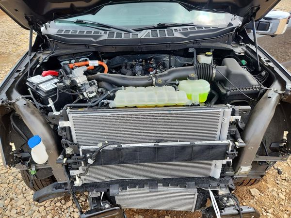 2024 FORD F150