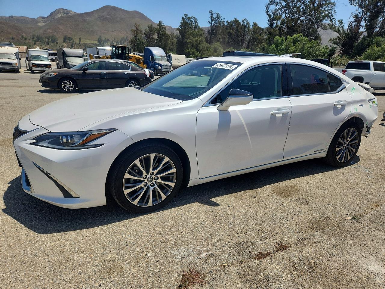 2019 LEXUS ES 300h