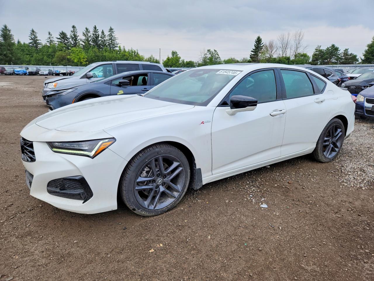 2025 ACURA TLX
