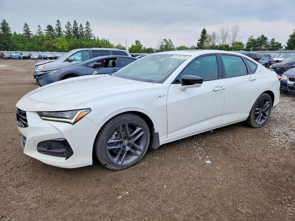 2025 ACURA TLX