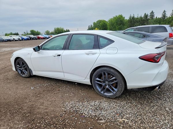 2025 ACURA TLX