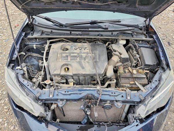 2019 TOYOTA COROLLA L/LE/SE/XLE/XSE