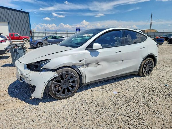 2020 TESLA MODEL Y