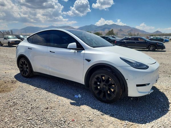 2020 TESLA MODEL Y
