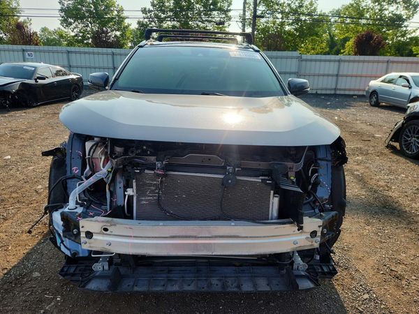 2019 TOYOTA RAV4 XLE / XLE Premium 4WD