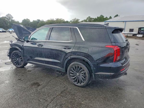2025 HYUNDAI PALISADE — DSRA