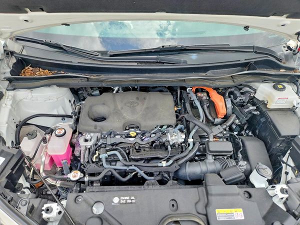 2022 TOYOTA SIENNA Limited