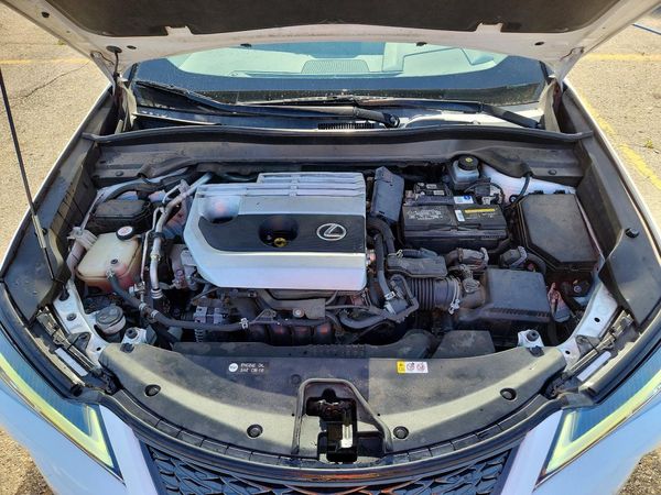 2019 LEXUS UX 200 Base/Luxury/F Sport