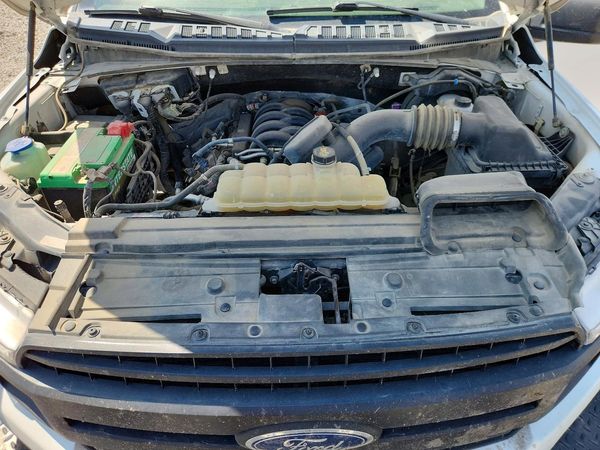 2019 FORD F150
