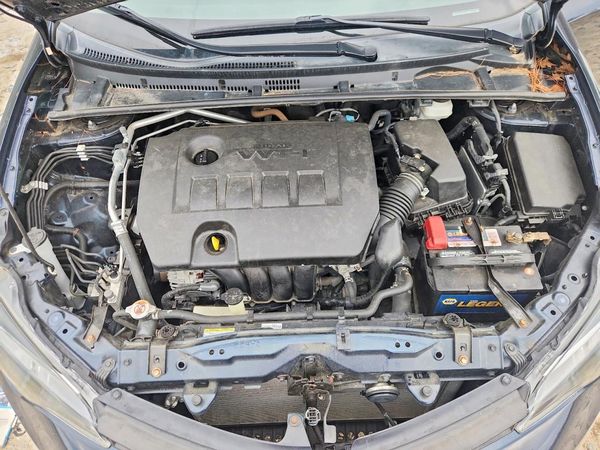 2019 TOYOTA COROLLA