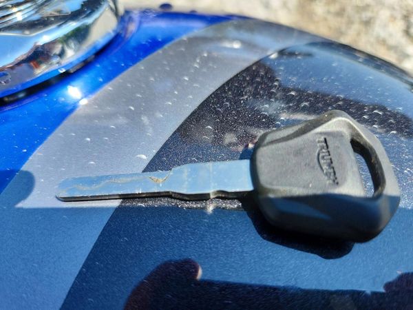 2025 TRIUMPH MOTORCYCLE SPEED