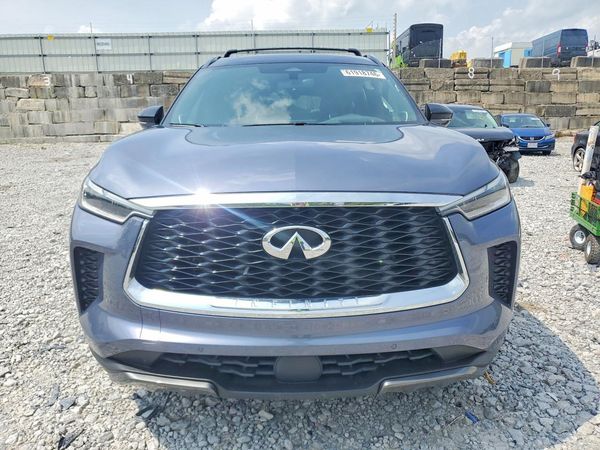 2024 INFINITI QX60 Autograph — DIRF